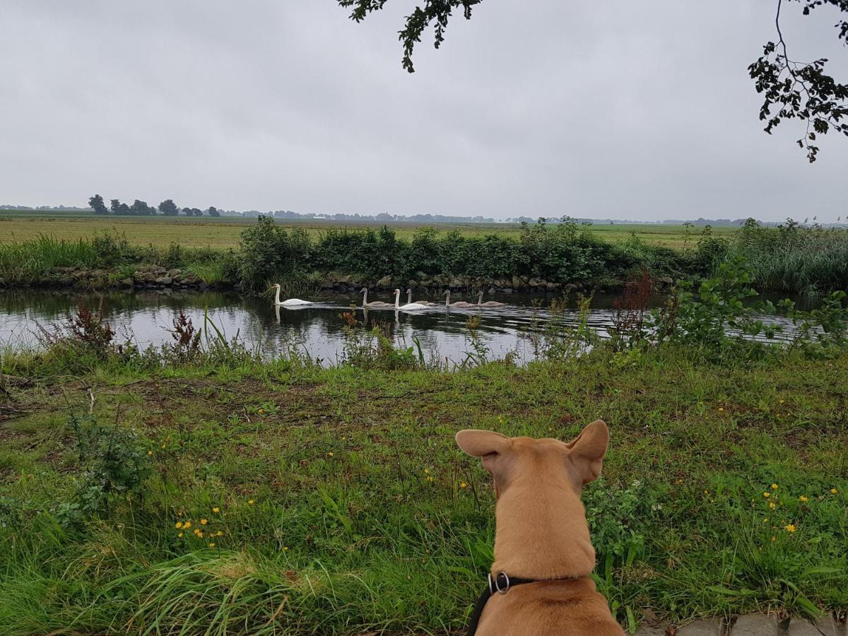 Appartamento Drenths Landgoed, Lekker Uit Annerveenschekanaal Esterno foto